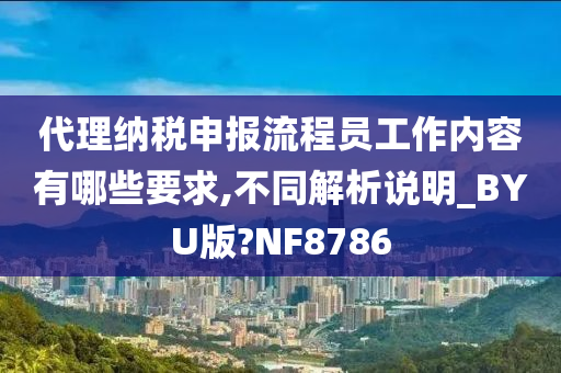 代理纳税申报流程