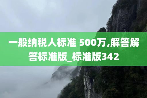 一般纳税人标准 500万,解答解答标准版_标准版342