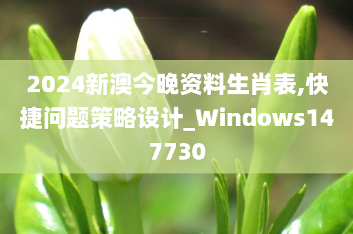 2024新澳今晚资料生肖表,快捷问题策略设计_Windows147730