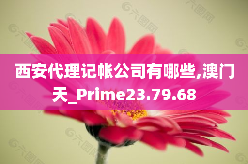 西安代理记帐公司有哪些,澳门天_Prime23.79.68