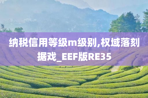 纳税信用等级m级别,权域落刻据戏_EEF版RE35