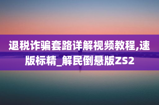 退税诈骗套路详解视频教程,速版标精_解民倒悬版ZS2