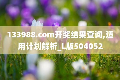 133988.com开奖结果查询,适用计划解析_L版504052