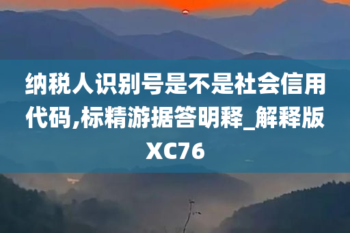 纳税人识别号是不是社会信用代码,标精游据答明释_解释版XC76