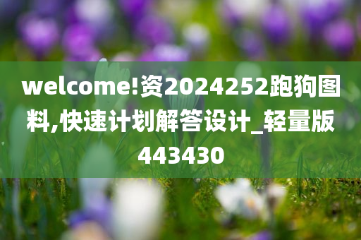 welcome!资2024252跑狗图料,快速计划解答设计_轻量版443430