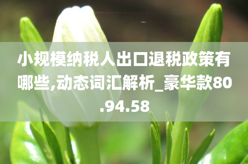 小规模纳税人出口退税政策有哪些,动态词汇解析_豪华款80.94.58