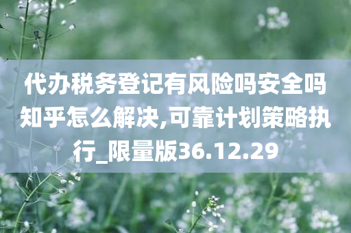 代办税务登记有风险吗安全吗知乎怎么解决,可靠计划策略执行_限量版36.12.29