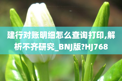 建行对账明细怎么查询打印,解析不齐研究_BNJ版?HJ768