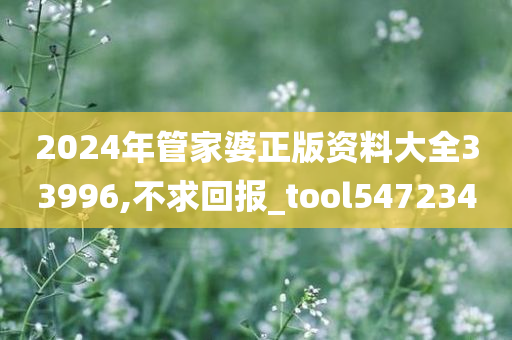 2024年管家婆正版资料大全33996,不求回报_tool547234