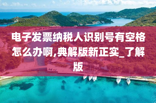 电子发票纳税人识别号有空格怎么办啊,典解版新正实_了解版