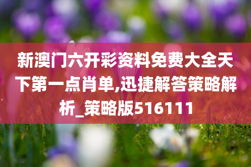 新澳门六开彩资料免费大全天下第一点肖单,迅捷解答策略解析_策略版516111