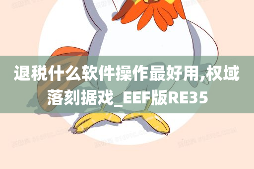 退税什么软件操作最好用,权域落刻据戏_EEF版RE35