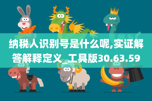 纳税人识别号是什么呢,实证解答解释定义_工具版30.63.59