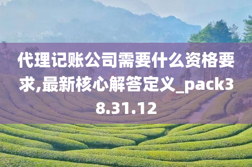 代理记账公司需要什么资格要求,最新核心解答定义_pack38.31.12