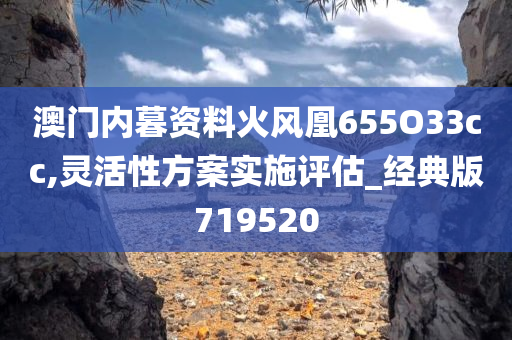 澳门内暮资料火风凰655O33cc,灵活性方案实施评估_经典版719520