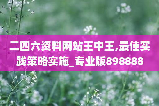 二四六资料网站王中王,最佳实践策略实施_专业版898888