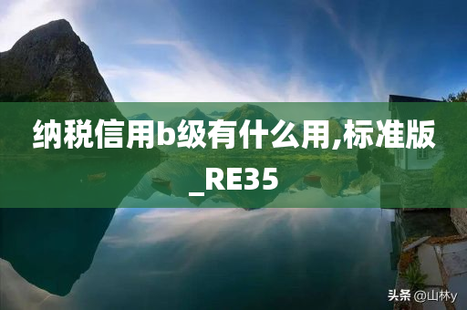 纳税信用b级有什么用,标准版_RE35