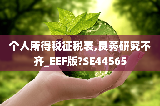 个人所得税征税表,良莠研究不齐_EEF版?SE44565