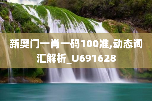 新奥门一肖一码100准,动态词汇解析_U691628