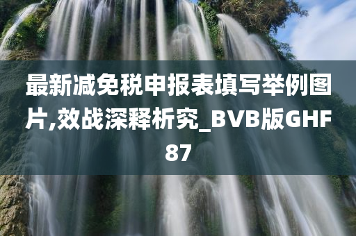 最新减免税申报表填写举例图片,效战深释析究_BVB版GHF87