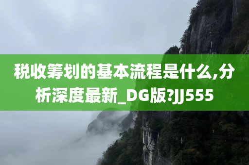 税收筹划的基本流程是什么,分析深度最新_DG版?JJ555