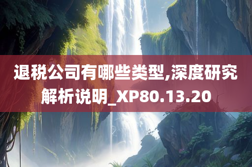 退税公司有哪些类型,深度研究解析说明_XP80.13.20