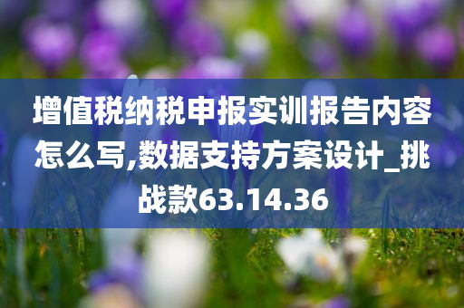 增值税纳税申报实训报告内容怎么写,数据支持方案设计_挑战款63.14.36