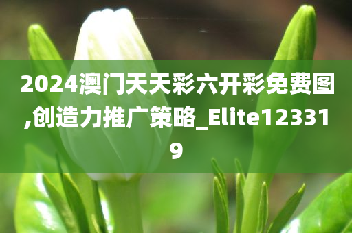 2024澳门天天彩六开彩免费图,创造力推广策略_Elite123319