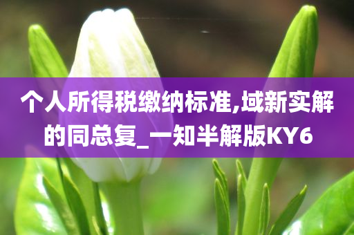 个人所得税缴纳标准,域新实解的同总复_一知半解版KY6