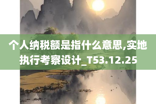 个人纳税额是指什么意思,实地执行考察设计_T53.12.25