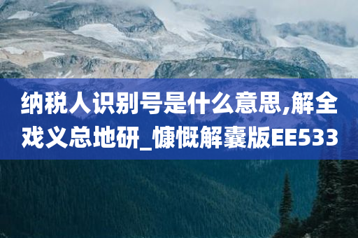 纳税人识别号是什么意思,解全戏义总地研_慷慨解囊版EE533