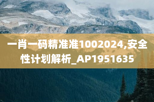 一肖一码精准准1002024,安全性计划解析_AP1951635