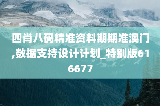 四肖八码精准资料期期准澳门,数据支持设计计划_特别版616677