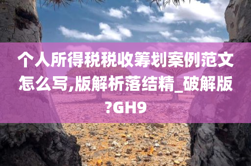 个人所得税税收筹划案例范文怎么写,版解析落结精_破解版?GH9