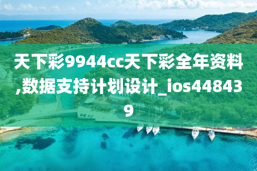 天下彩9944cc天下彩全年资料,数据支持计划设计_ios448439