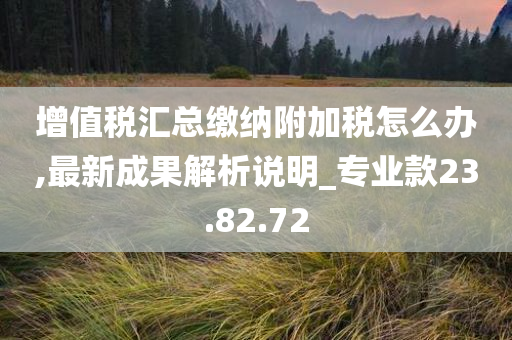 增值税汇总缴纳附加税怎么办,最新成果解析说明_专业款23.82.72