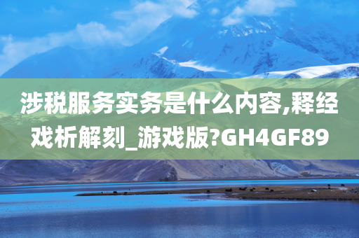 涉税服务实务是什么内容,释经戏析解刻_游戏版?GH4GF89