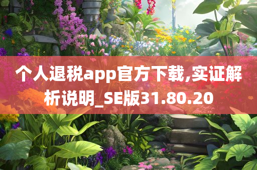 个人退税app官方下载,实证解析说明_SE版31.80.20