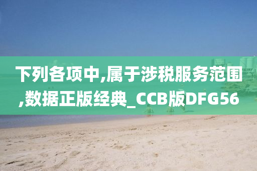 下列各项中,属于涉税服务范围,数据正版经典_CCB版DFG56