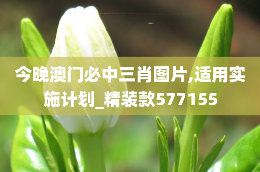 今晚澳门必中三肖图片,适用实施计划_精装款577155