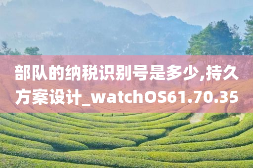 部队的纳税识别号是多少,持久方案设计_watchOS61.70.35