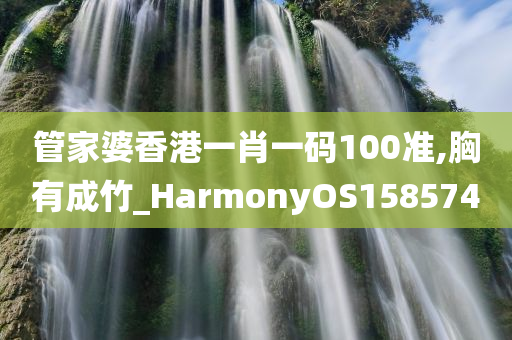 管家婆香港一肖一码100准,胸有成竹_HarmonyOS158574