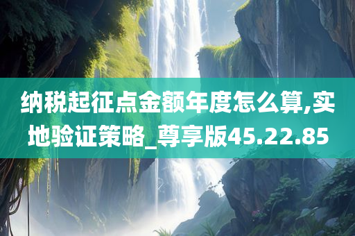 纳税起征点金额年度怎么算,实地验证策略_尊享版45.22.85