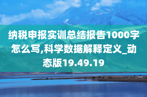 纳税申报实训总结报告1000字怎么写,科学数据解释定义_动态版19.49.19