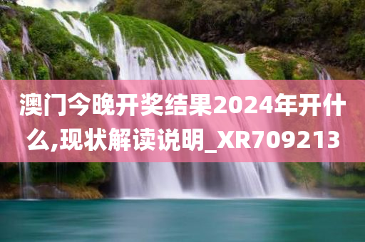 澳门今晚开奖结果2024年开什么,现状解读说明_XR709213