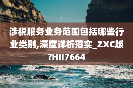 涉税服务业务范围包括哪些行业类别,深度详析落实_ZXC版?HII7664