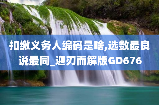 扣缴义务人编码是啥,选数最良说最同_迎刃而解版GD676