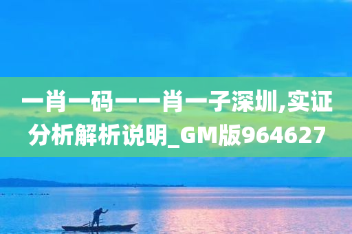 一肖一码一一肖一子深圳,实证分析解析说明_GM版964627