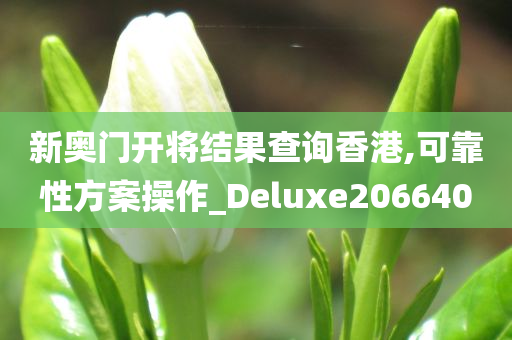 新奥门开将结果查询香港,可靠性方案操作_Deluxe206640