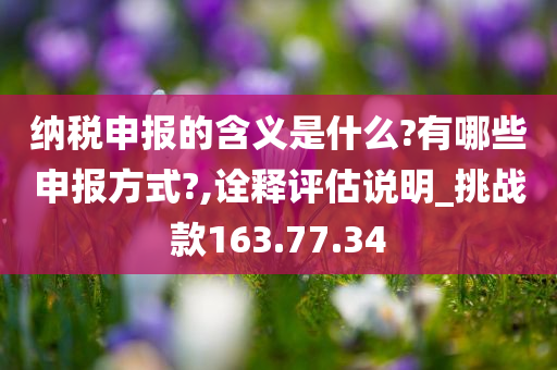 纳税申报的含义是什么?有哪些申报方式?,诠释评估说明_挑战款163.77.34